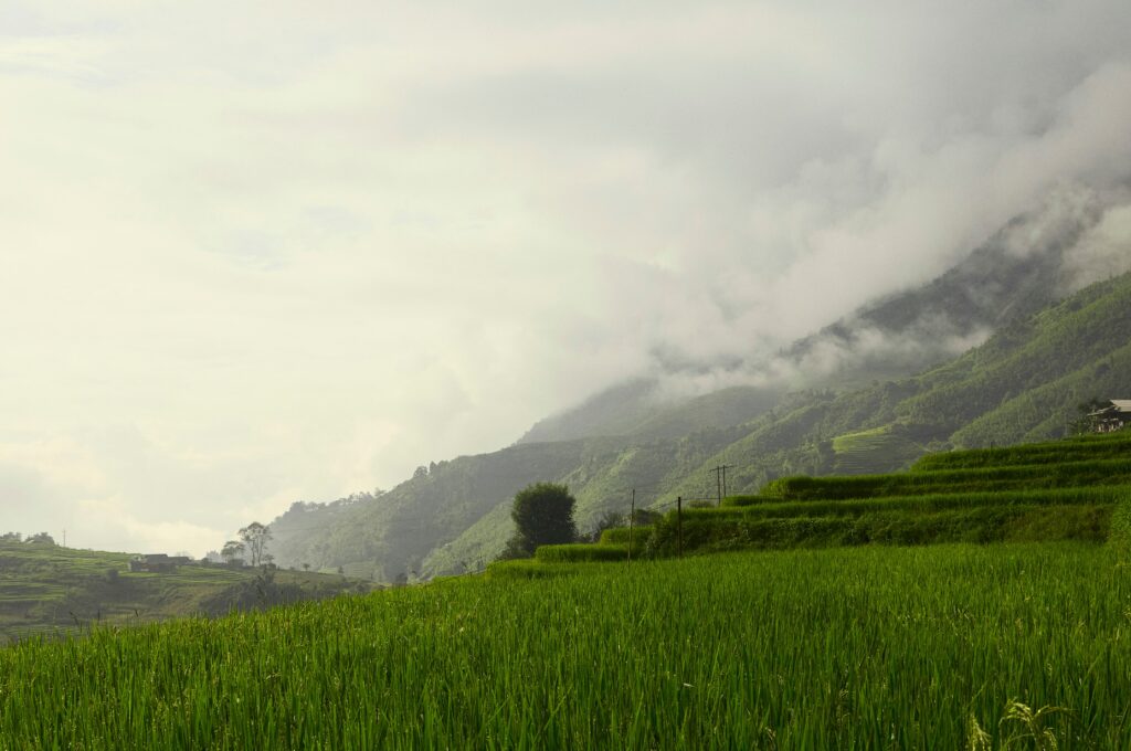 Hello World Featured Image
